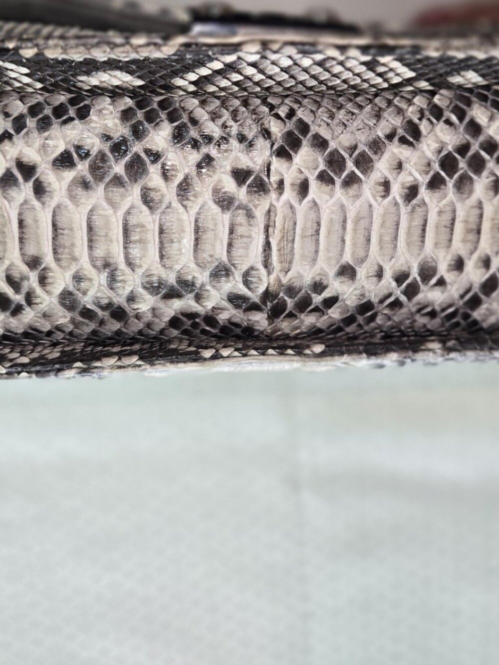 Python Handbag - Picture 6 of 10